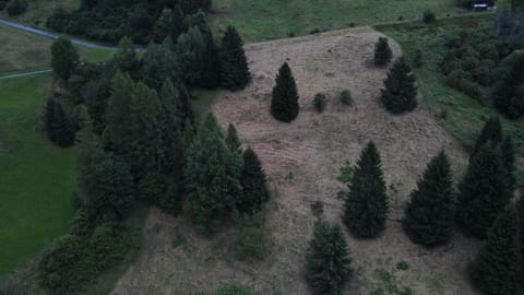 Villa Tersilla Bed and Breakfast in Friuli-Venezia Giulia