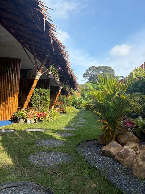Day, Garden, Garden view