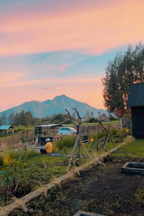 The Iris Volcano Vacation rental in Karangasem Regency