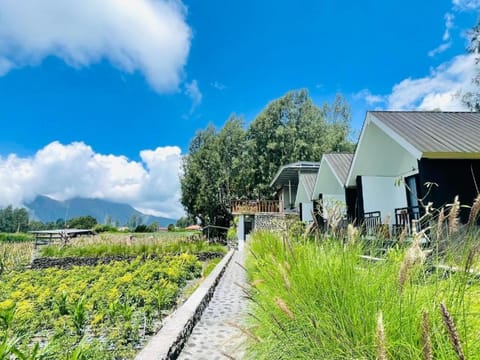 The Iris Volcano Vacation rental in Karangasem Regency