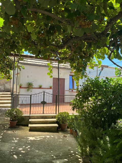 Nello House House in Vico Equense