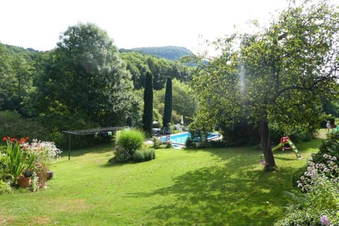 Garden, Pool view, Swimming pool