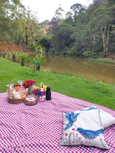 Garden, Breakfast