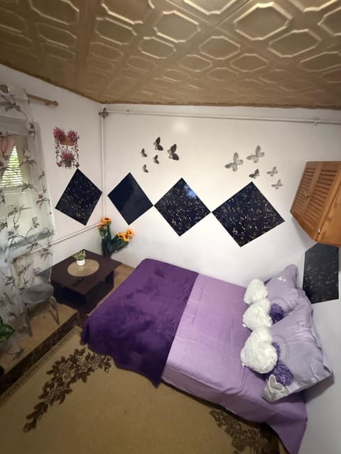 Dorina gazdă Apartment in Timiș County