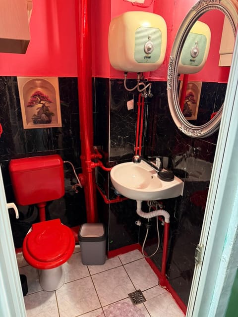 Dorina gazdă Apartment in Timiș County