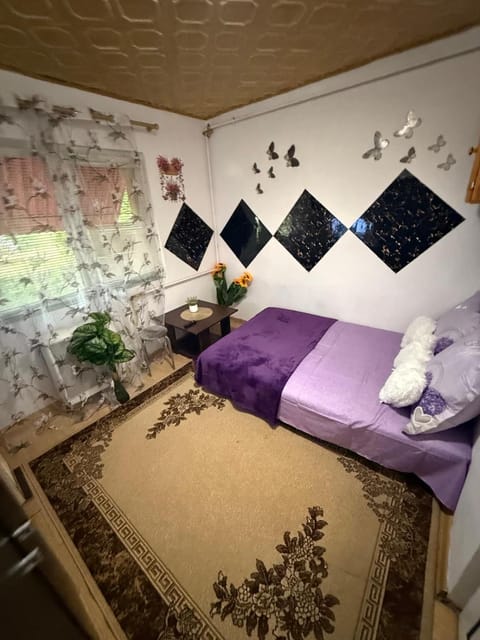 Dorina gazdă Apartment in Timiș County