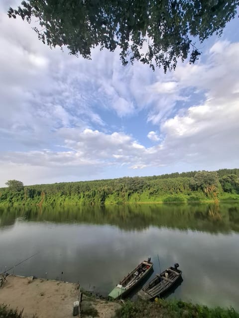 Natural landscape, River view