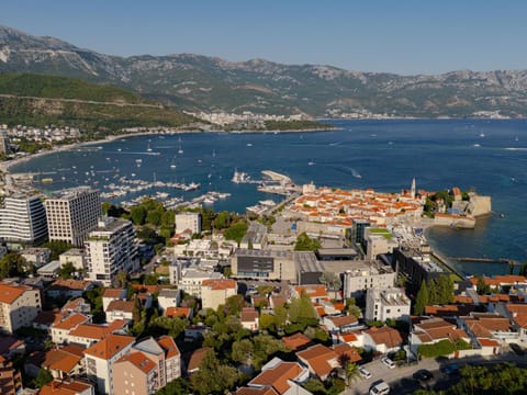 Nearby landmark, Day, Natural landscape, Bird's eye view, City view, Mountain view, Sea view, Location