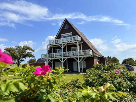 Property building, Garden view