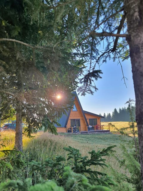 Property building, Day, Natural landscape