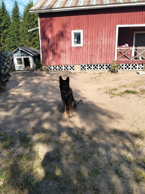 Sammalinen Farm Stay in Finland