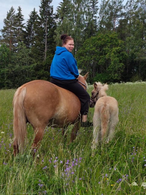 Sammalinen Farm Stay in Finland