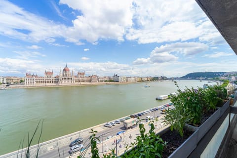 Neighbourhood, City view