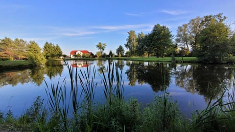 Property building, Natural landscape, View (from property/room), Lake view