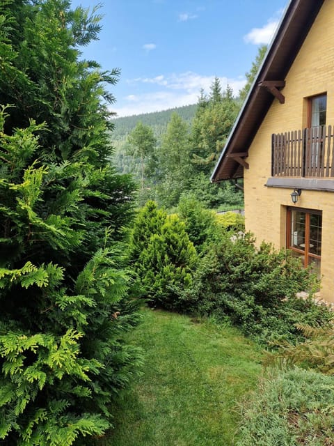Natural landscape, Garden, Garden, Mountain view