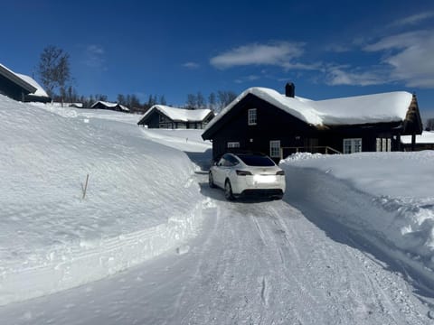 Winter