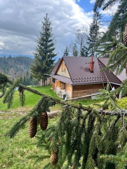 Property building, Natural landscape, Mountain view