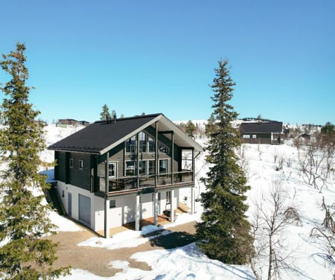 Property building, Winter