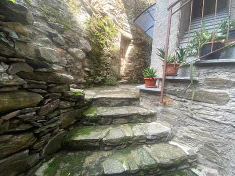 La casa sul lago blu Apartment in Domaso