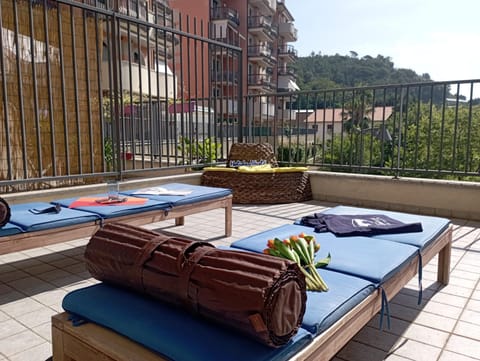 Balcony/Terrace, sunbed