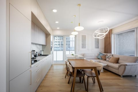 Kitchen or kitchenette, Living room, Seating area, Dining area, stove