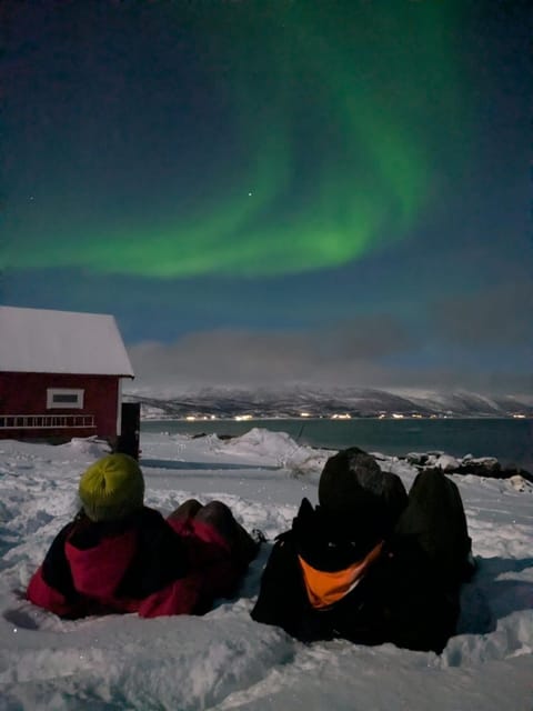 Night, Natural landscape, Winter, group of guests
