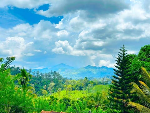 Natural landscape, Mountain view