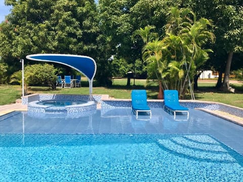 Garden, Swimming pool