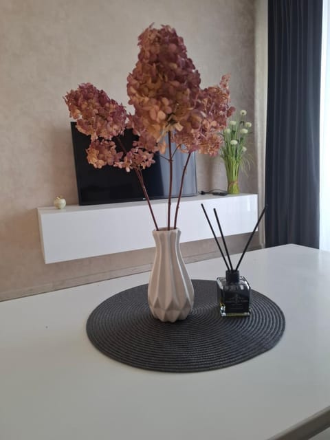 Apartment Apartment in Lithuania