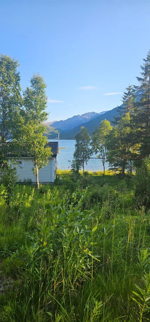 Fredbo Nature lodge in Nordland, Norway