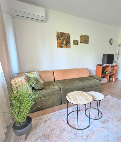 Communal lounge/ TV room, TV and multimedia, Living room, Seating area, air conditioner
