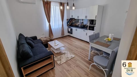 Kitchen or kitchenette, Living room, Seating area, Dining area, oven, stove, toaster
