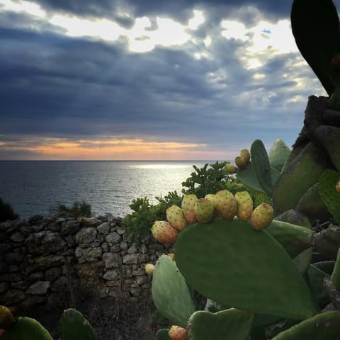 Natural landscape, Beach, On site