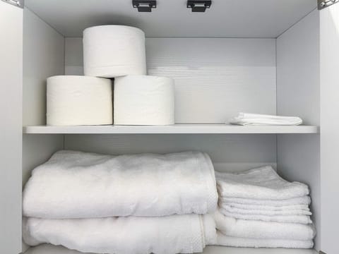 South Loop Rooftop With In & Out Parking 1 Apartment in South Loop