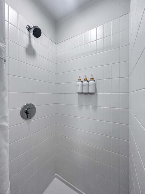 South Loop Rooftop With In & Out Parking 1 Apartment in South Loop