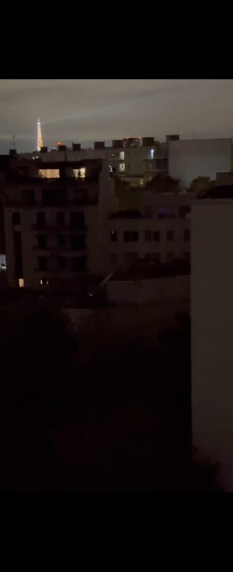 Paris 16eme vista a la torre eiffel Apartment in Issy-les-Moulineaux