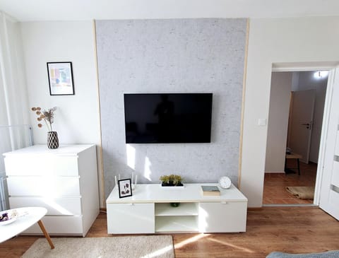 TV and multimedia