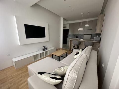 City Center Apartment Apartment in Timiș County