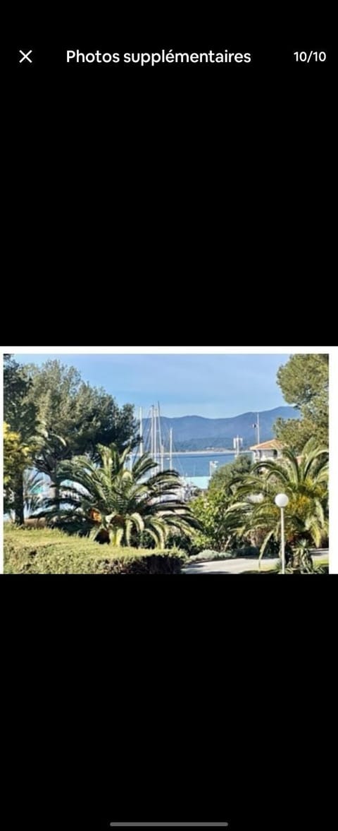 Sea view