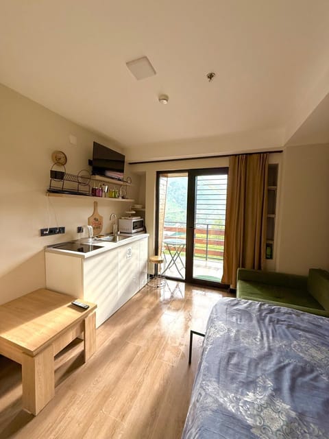 Bed, Kitchen or kitchenette, Living room, Bedroom