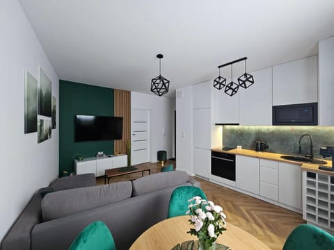 Communal lounge/ TV room, TV and multimedia, Kitchen or kitchenette, Living room, Seating area, Dining area, Evening entertainment