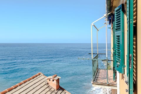 Spring, Summer, Balcony/Terrace, Autumn