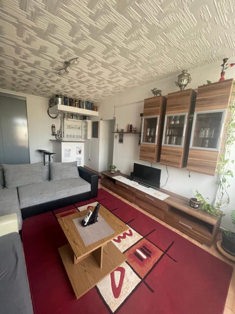 Living room, air conditioner