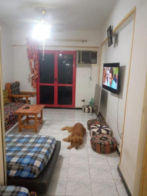 Bed, TV and multimedia, Bedroom, Pets, air conditioner