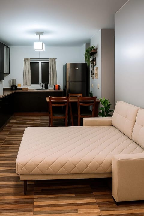 Living room, kitchen