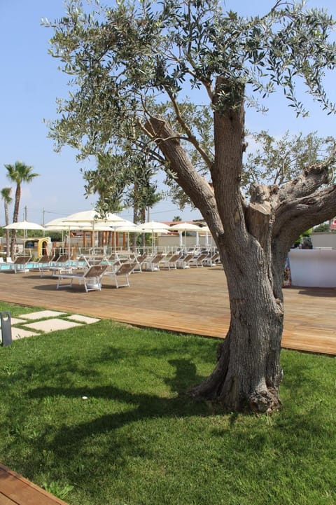 Neas Resort Apartment in Campania