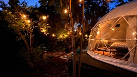 Night, Natural landscape, Seating area