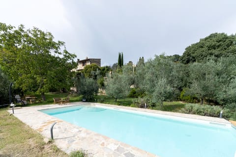 Natural landscape, Garden, Garden view, Pool view, Swimming pool