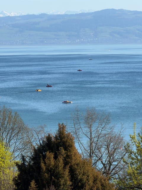 Lake view