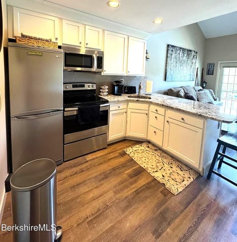 Luxury Jiminy Ski On Off Village Ctr Condo Sleeps4 Apartment in Lanesborough